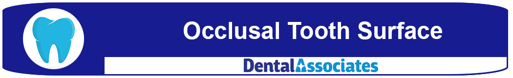 What is the occlusal tooth surface?