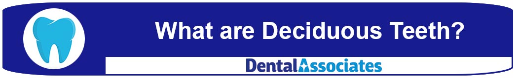 Deciduous Teeth