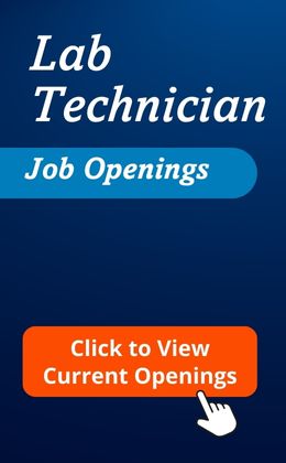 Dental Lab Technician Jobs 