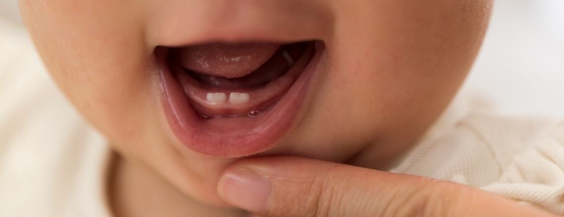 baby's mouth open with two bottom front baby teeth